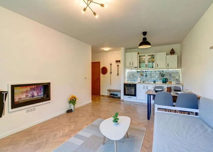 公寓 Kometa Cozy 1-bd Flat By Flat Mаnager 潘波洛沃